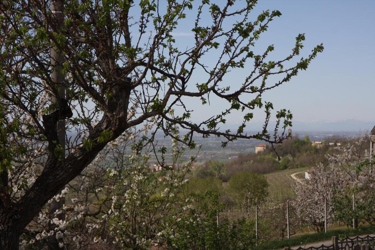 Bed and Breakfast Gli Acini Pietra dei Giorgi Exterior foto